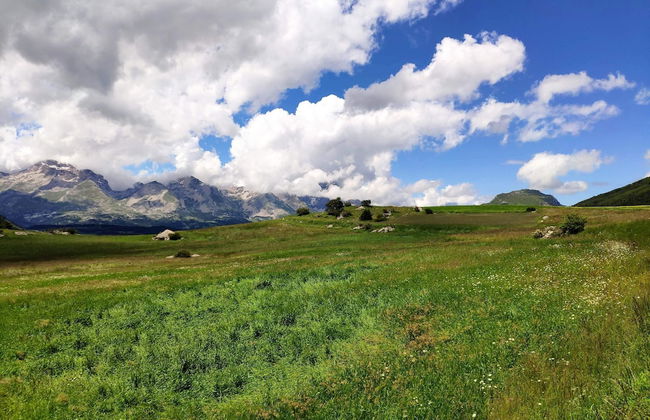 Superdevoluy545S - Photo 42