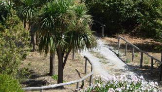 Fondo Santa Lucia - Foto 4