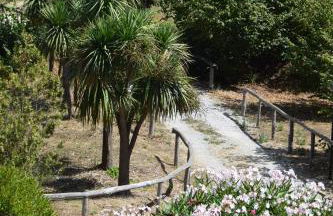 Fondo Santa Lucia - Foto 4