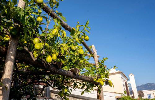Villa Miramare, piscina e parcheggio a Conca dei Marini - Photo 40