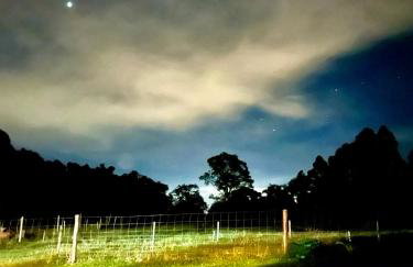 Casa Serra Gaúcha Nova Petrópolis 30 min Gramado - Foto 43