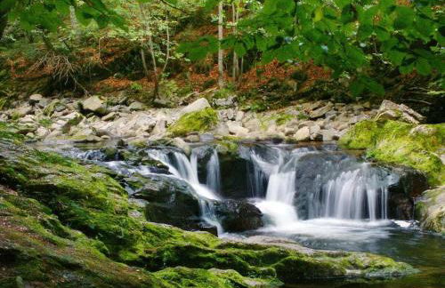 Farmhouse in Hutthurm for 4 people - Foto 25