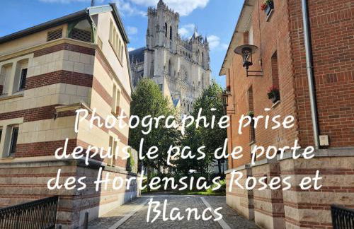 Les Hortensias Roses Duplex - Foto 1