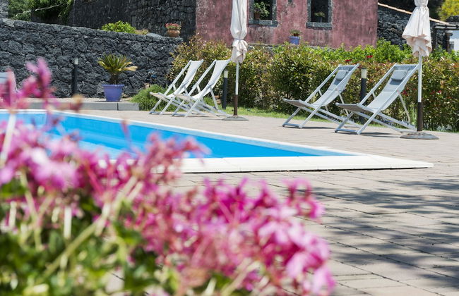 Viola nel Parco - Foto 1