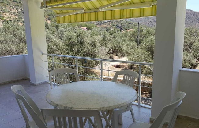 Dream Garden Evleri - Photo 23