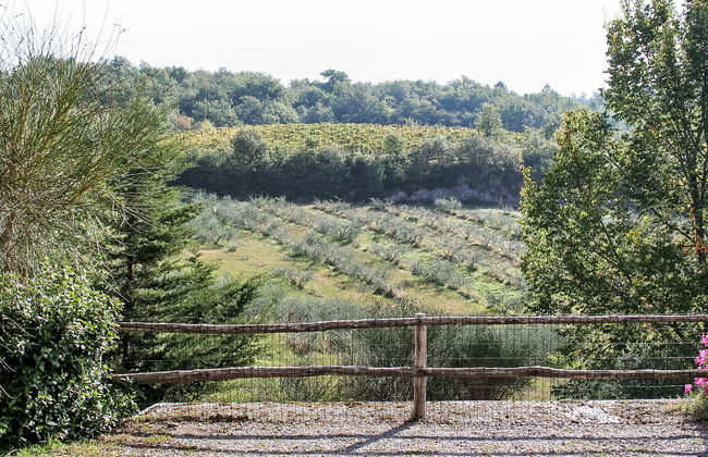 Coccinella n°6 - Foto 8