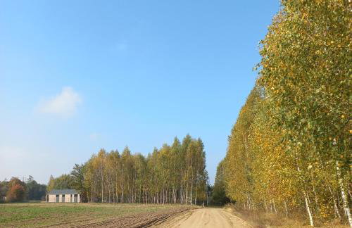 Przystanek Mazury.Makosieje - Foto 39
