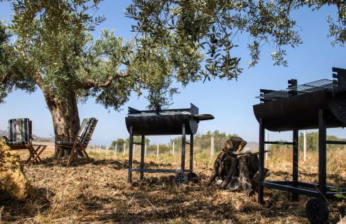 Stella del Rio - Foto 41