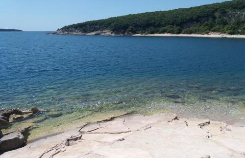 Apartment Krnica N43 - Photo 26