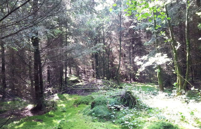 Beautiful Holdiday Home in Ulmen Near the Lake - Foto 40