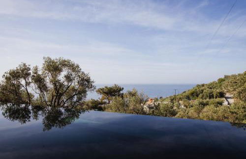 Five Olive Dream Trip - Photo 36