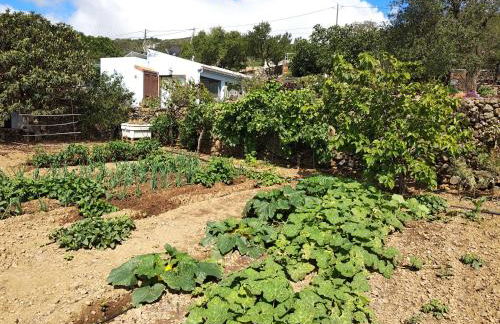 Casa Anita - Foto 16