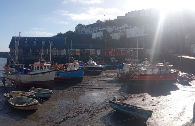 Ground Floor Cornish Retreat and Courtyard Garden - Foto 28