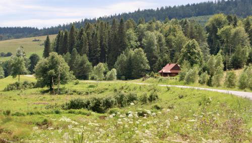 Krzywa 19 - Foto 4