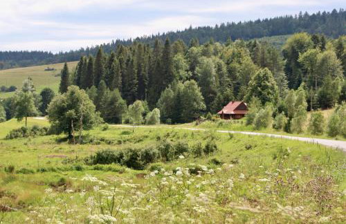 Krzywa 19 - Foto 4