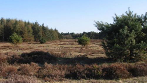 Ferienwohnung Strandzeit Cuxhaven - Foto 3