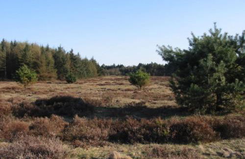 Ferienwohnung Strandzeit Cuxhaven - Foto 3