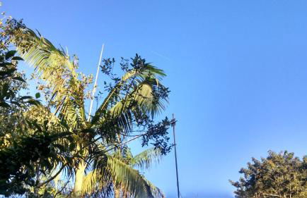 Ouro Grosso Chales - Foto 7