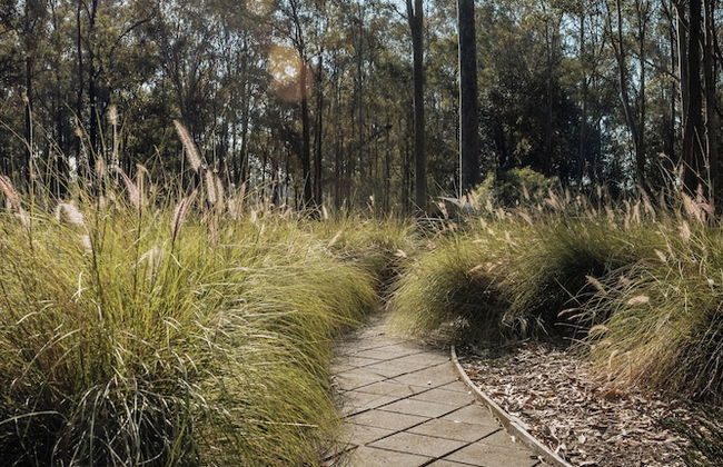 Pokolbin Cottages - Photo 48