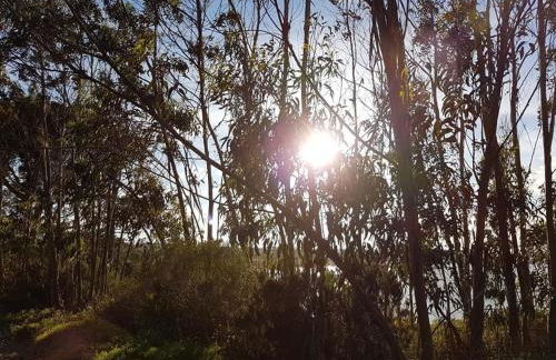 Casa do Canto - Uma casa no campo, perto da praia. - Foto 27