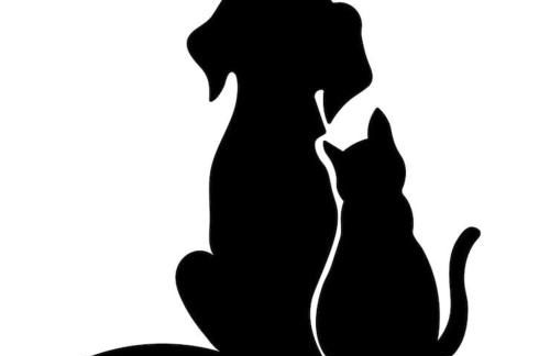 LA CONCHIGLIA - Sirolo Suite - Foto 49