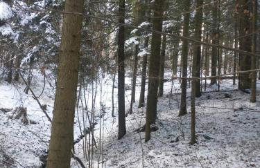 Juraszówka - Foto 40