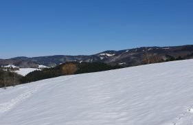 Haus Panorama mit Alpenblick - Foto 29