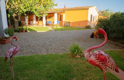 Appartamento Camisa - Il Gelso - Foto 37