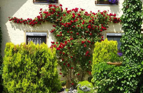 Ferienwohnung Wassergartenparadies - Foto 33