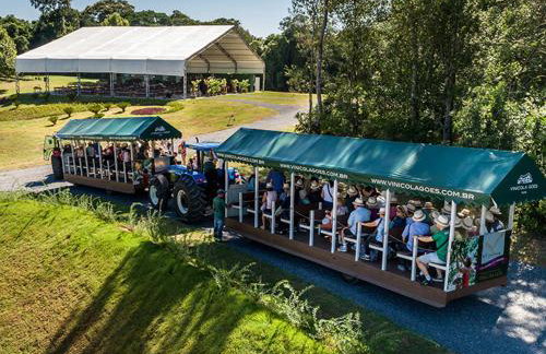 Apartamento Studio Residencial Beatriz - Foto 23