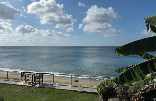 Birdie's Nest - Foto 37