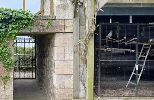 Villa TOUSVENTS - Foto 24