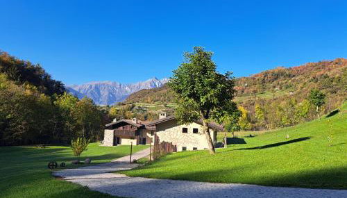 Quader nidi nel verde - Foto 5