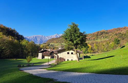 Quader nidi nel verde - Foto 5