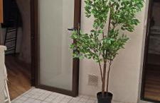 Las cuevas del agua - Foto 8