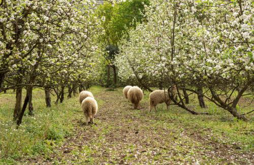 Casa Fermil do Lago - Foto 72