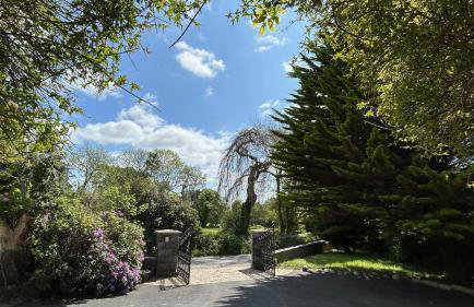 Annsborough House Castlewellan - Foto 30