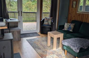 Belle 2 bedroom log cabin with hot tub, forest and loch - Foto 15