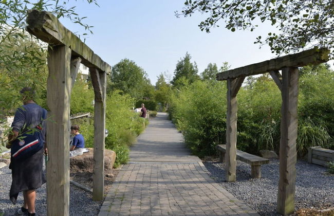 Apartment Albatros 14 - Foto 19