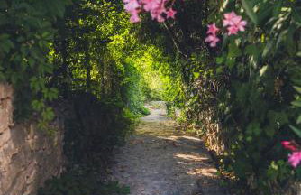 Villa Dese - Photo 3