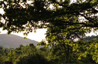 Akacjowe Zacisze - Foto 46