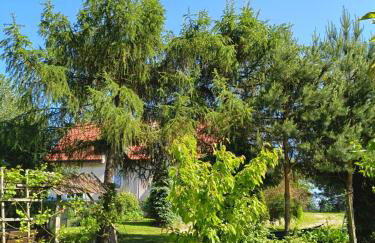 Dom z ogrodem na Mazurach - Foto 19