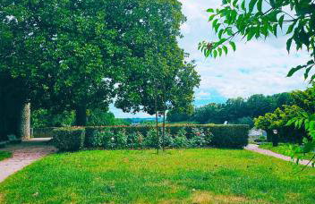 Le Cocon Palmier - Foto 18