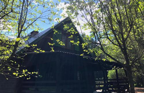 Chata u Żochów - Foto 4