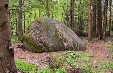 Dom Podróżnika -aktywne wakacje - Foto 24