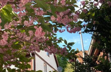 Ferienhaus Rübeland - Foto 13