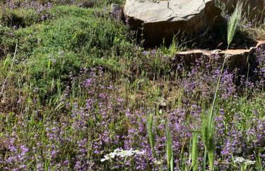 Agriturismo La Dimora dei Cavalieri - Photo 31