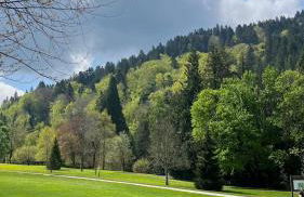 Appt lumineux, Thermes et Montagne - Foto 23