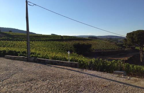 Quinta dos Espinheiros - Foto 95