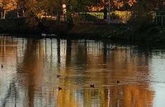 casa MEV è un attico in centro a Fiume Veneto - Photo 37